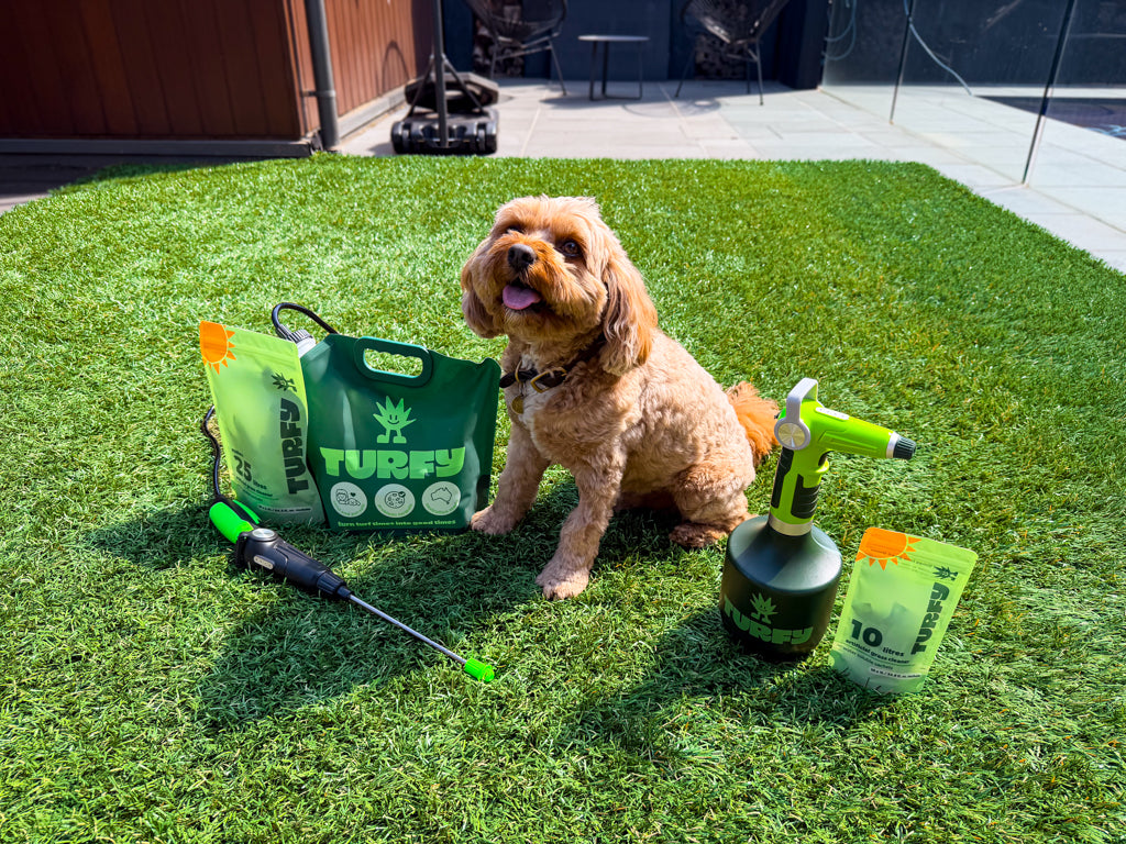 Turfy probiotic artificial grass cleaner made to remove urine stains and odours on fake grass. Dog is sitting next to Turfy probiotic products to show it is pet safe and to remove dog urine.